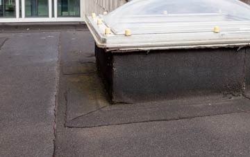 disadvantages of Balblair flat roofs